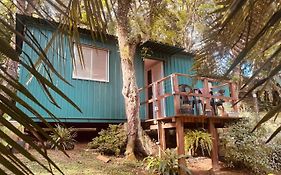 Container com Deck e Vista I Climatizado e Aconchegante em Curitiba na Natureza